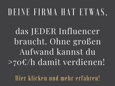 Zusatzverdienst Business